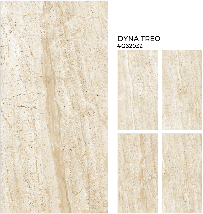 GẠCH ẤN ĐỘ 600X1200 DYNA TREO  AZ-G62032
